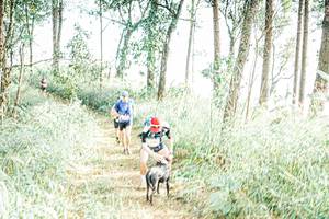 BIB: 
                            <button type="button" onclick="openModal(25657799)" class="btn btn-primary btn-sm float-right btn-popup" data-toggle="modal" data-target=".modal-high-quality">
                        <i class="fas fa-shopping-cart"></i> Add to Cart
                    </button>
                                            <button type="button" onclick="isThisMe(25657799, true)" class="btn btn-success btn-sm float-right btn-popup btn-isme hidden" data-toggle="tooltip" data-placement="bottom" title="นี่คือรูปของคุณใช่ไหม คลิกที่นี่เพื่อเอาเข้าอัลบั้ม">
                        <i class="fas fa-plus"></i> Add to album
                    </button>
                    <button type="button" onclick="isThisMe(25657799, false)" class="btn btn-warning btn-sm float-right btn-popup btn-isnotme hidden">
                        <i class="fas fa-ban"></i> Remove from album
                    </button>